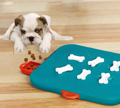 Pet Treasure Hunt Puzzle Toy for Entertainment
