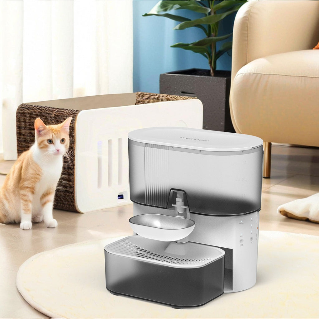 Stainless Steel Pet Water Dispenser with Timer