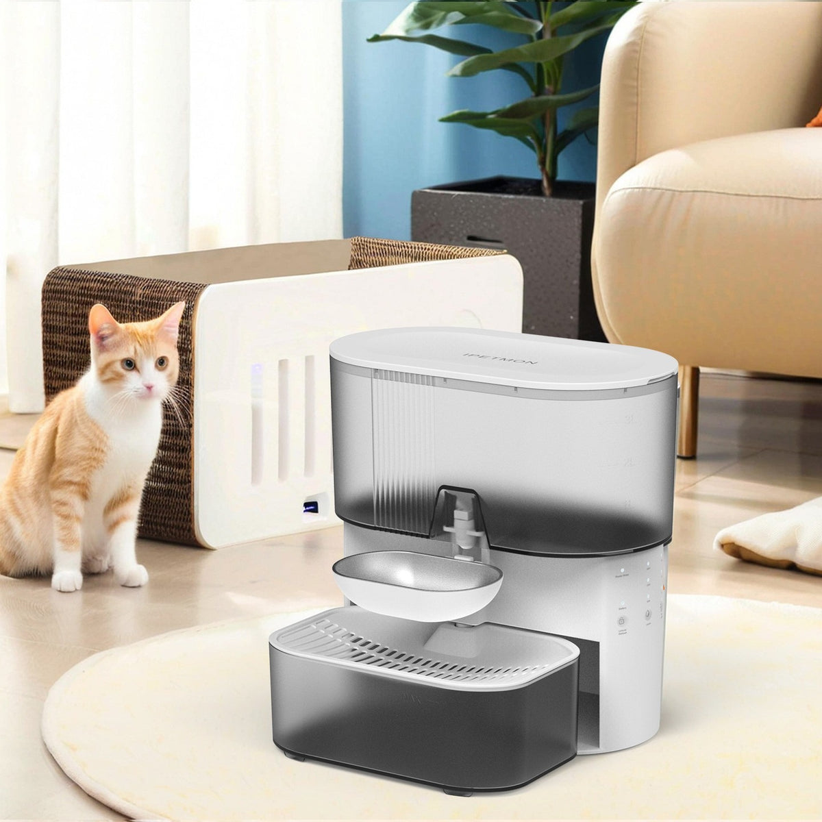 Stainless Steel Pet Water Dispenser with Timer
