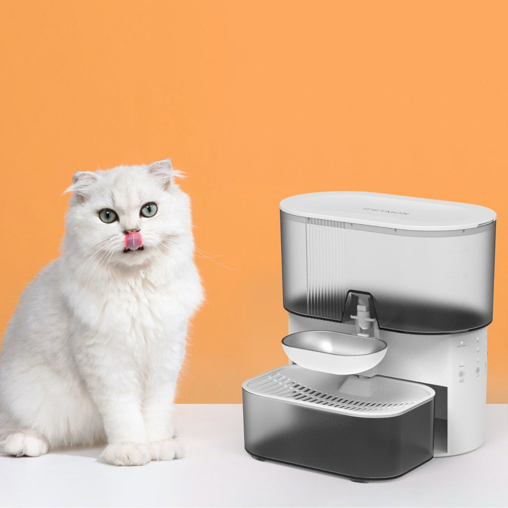 Stainless Steel Pet Water Dispenser with Timer