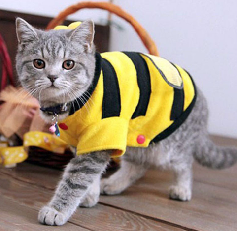 Bee Costume for Cats and Dogs, Pet Transformation Outfit
