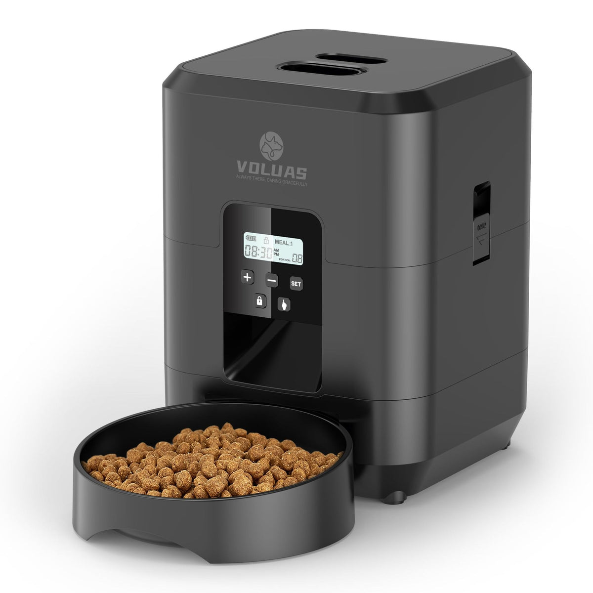 Pet Feeder with Timer and Wi-Fi App