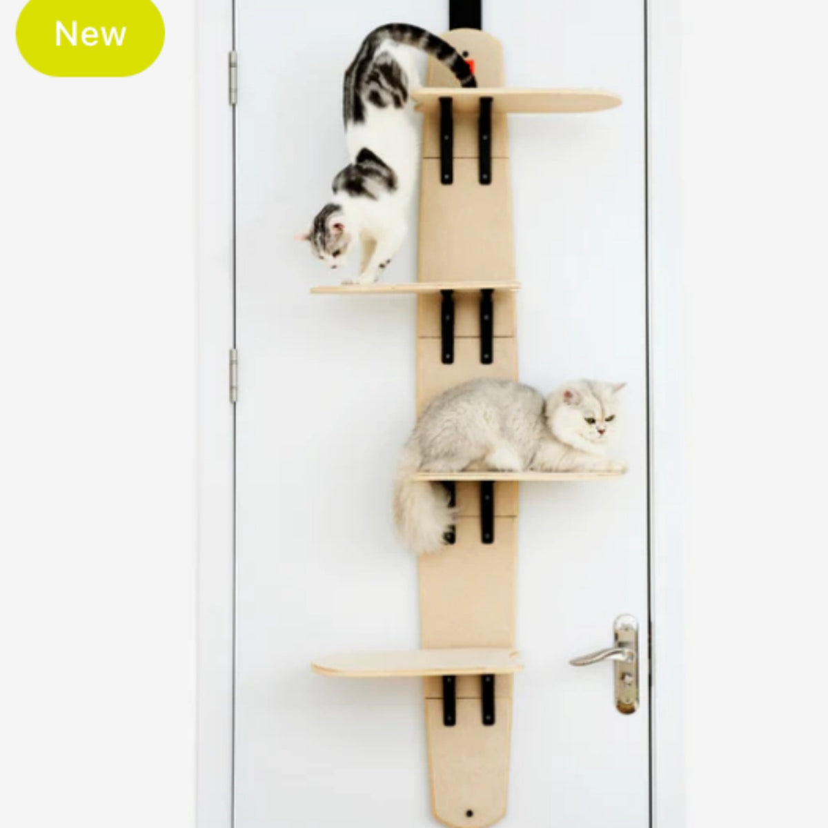 Cat Jumping Platform Toy