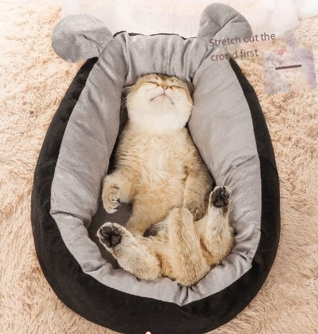 Closed Space Capsule Cat House - Four Seasons Kennel