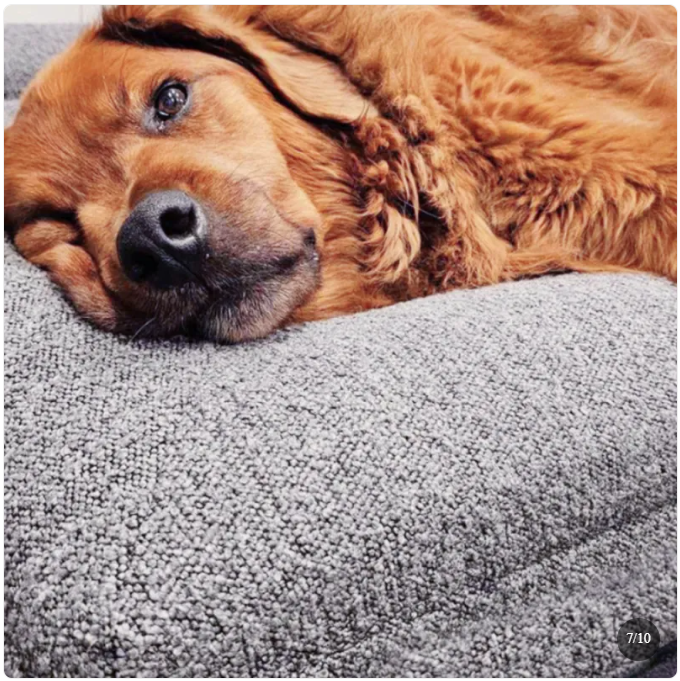 Rectangular Pet Bed Sofa Nest