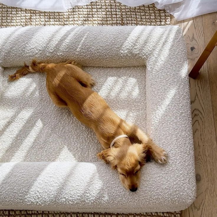 Rectangular Pet Bed Sofa Nest