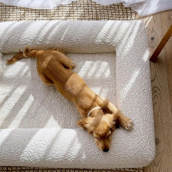 Rectangular Pet Bed Sofa Nest