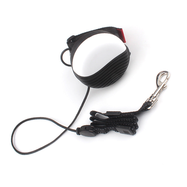 Automatic Retractable Dog Leash for Small to Medium Pets
