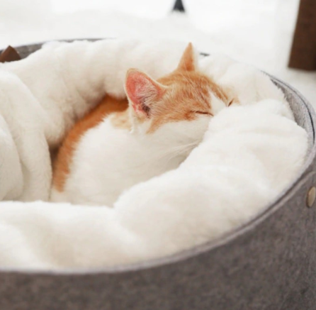 Cozy Pet Bed for Cats and Small Dogs in Winter Design