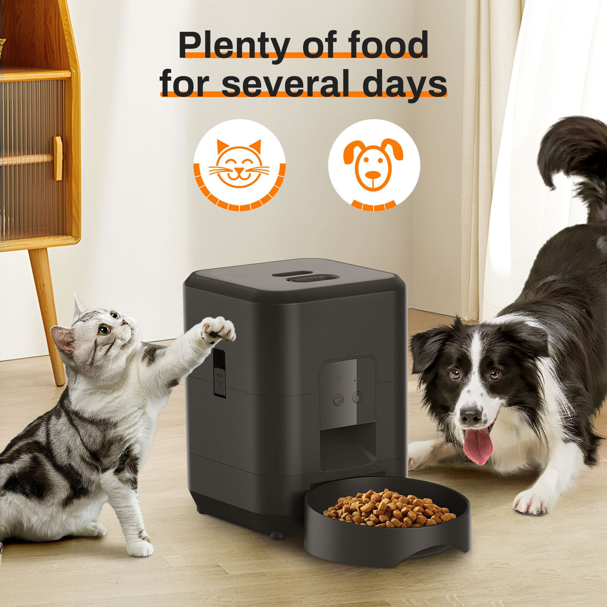Pet Feeder with Timer and Wi-Fi App