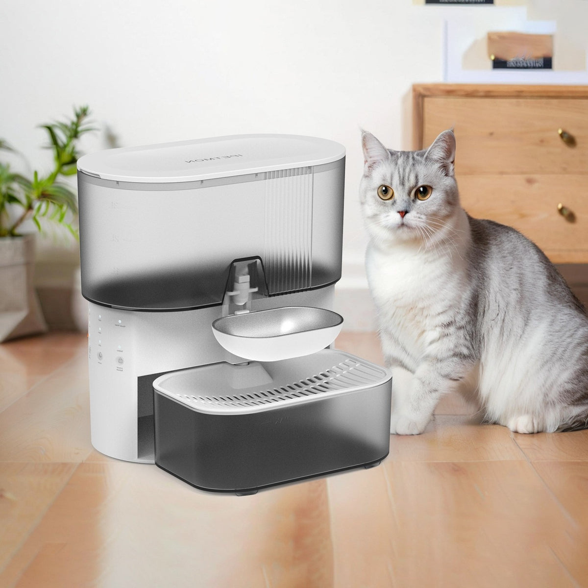 Stainless Steel Pet Water Dispenser with Timer
